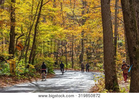 Oirase Stream, Beautiful Fall Foliage Scene Autumn Colors. Famous And Popular Destinations. Flowing 