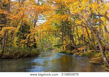 Oirase Stream, Beautiful Fall Foliage Scene Autumn Colors. Famous And Popular Destinations. Flowing 