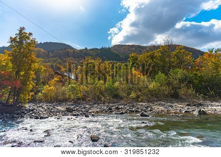 Oirase Stream In Sunny Day, Beautiful Fall Foliage Scene In Autumn Colors. Flowing River, Fallen Lea