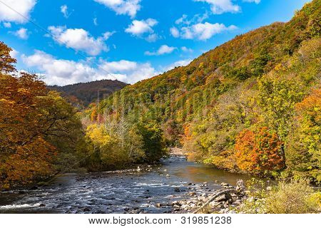 Oirase Stream In Sunny Day, Beautiful Fall Foliage Scene In Autumn Colors. Flowing River, Fallen Lea