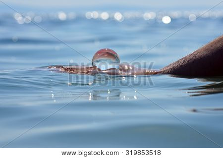 Holding Glass Ball Whit Beautiful Sea Reflection/ Beautiful Summer Coast Seen Through A Blue Glass B