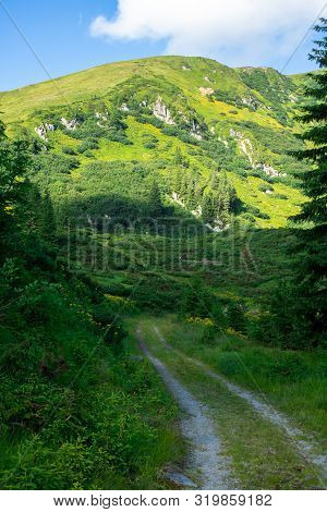 Road To The Green Alpine Mount Couloir With Grey Rocks And Yellow Flowers, Covered With Small Alpine