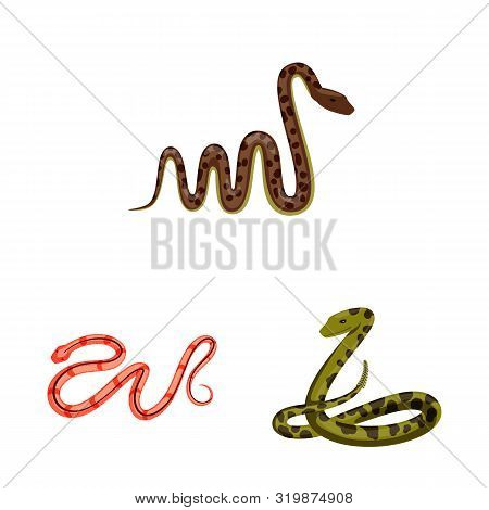 Vector Illustration Of Poison And Evil Logo. Collection Of Poison And Bite Stock Vector Illustration