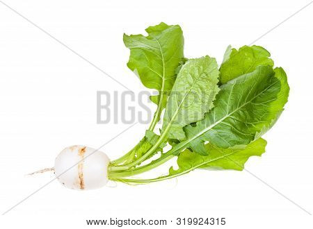 Fresh Organic Kokabu Japanese White Salad Turnip With Greens Isolated On White Background