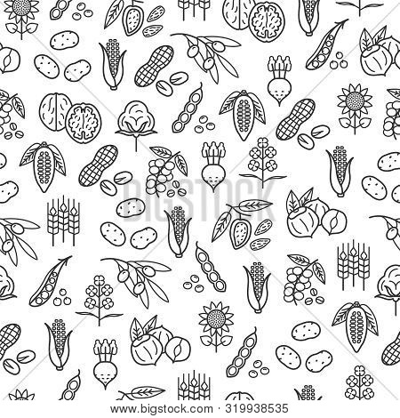 Agricultural Commodities Seamless Pattern Background And Texture