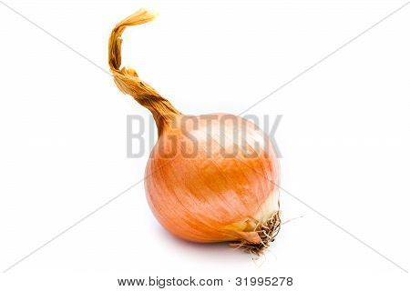 Sipuli