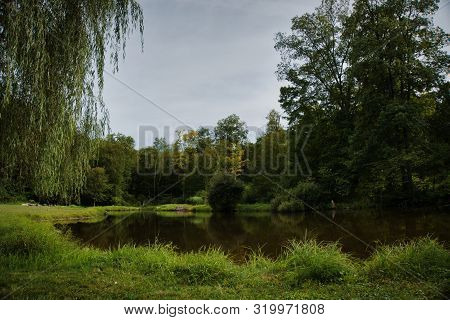 Full Framed Photo Of Pond With Willow Tree To The Left Side