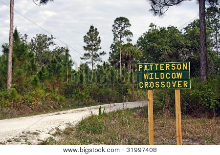 Okaloacoochee Slough devlet orman
