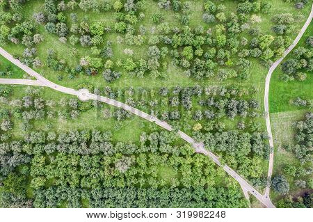 Top View Of The Footpaths Through The Trees In Apple Orchard. Aerial View Of Summer Park