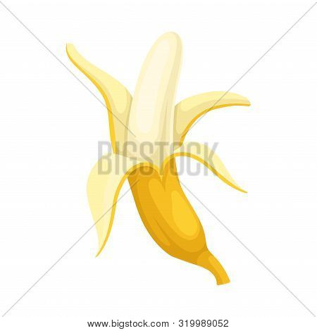 Banana Half Peeled. Vector Illustration On A White Background.