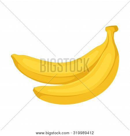 Two Bananas. Vector Illustration On A White Background.
