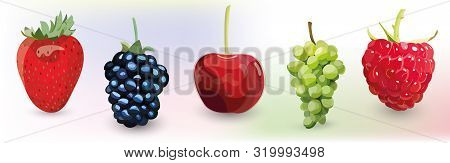 Set Of Fruits And Berries On Light Coloured Background. Vector Illustration
