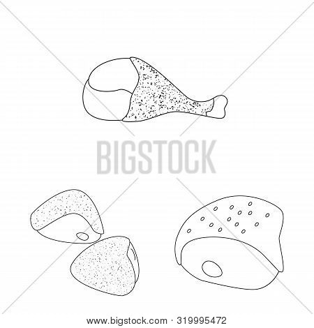Vector Design Of Food And Grilled Icon. Collection Of Food And Bird Vector Icon For Stock.