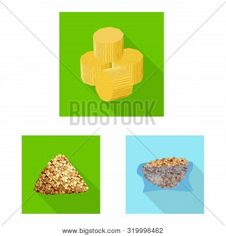 Vector Design Of Plant And Plantation Symbol. Set Of Plant And Agriculture Vector Icon For Stock.