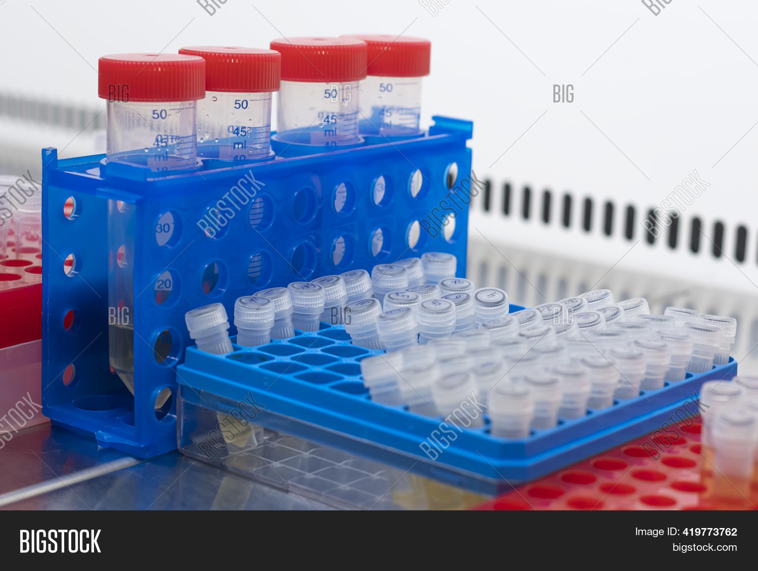 Two Laboratory Racks Image & Photo (Free Trial) Bigstock