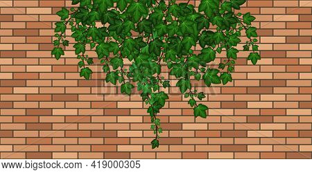 Brick Wall With Ivy Leaves Falling. Green Ivy Foliage On Brown Brick, House Wall Or Fence. Cartoon B