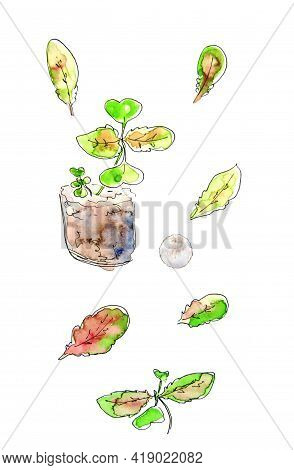 Watercolor Drawing Set Of Seedlings Plants And Leaves On A White Background