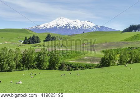 Sunny Idyllic Scenery Around Mount Ruapehu At The North Island Of New Zealand