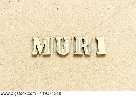 Alphabet Letter In Word Muri On Wood Background