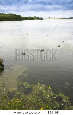 Grafham vand