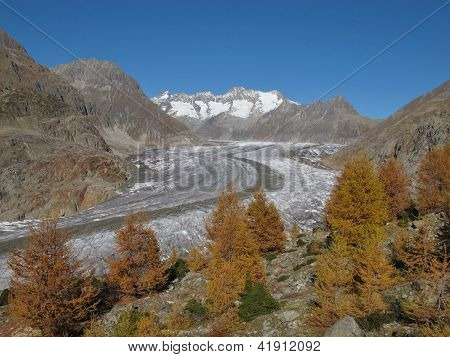 Unica zona dell'Aletsch