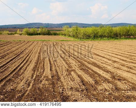 Landscape With Agricultural Land Plowed, Prepared For Harvest. Agricultural Landscape, Arable Land F