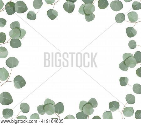 Watercolor Frame With Eucalyptus Leaves And Branches Isolated On White Background. Herbs For Cards, 