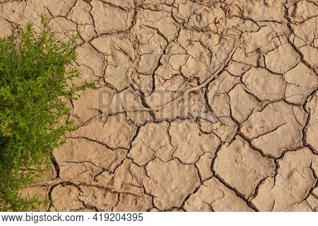 Nature Background Of Cracked Dry Lands. Natural Texture Of Soil With Cracks. Broken Clay Surface Of 