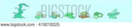 Set Of Beanstalk Cartoon Icon Design Template With Various Models. Modern Vector Illustration Isolat