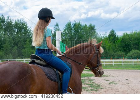Young caucasian woman on brown horse back. Horseback riding as hobby in paddock on woods. Green tree