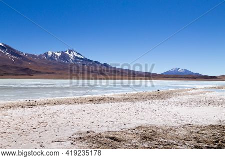 Laguna Hedionda Landscape,bolivia. Beautiful Bolivian Panorama. Blue Water Lagoon