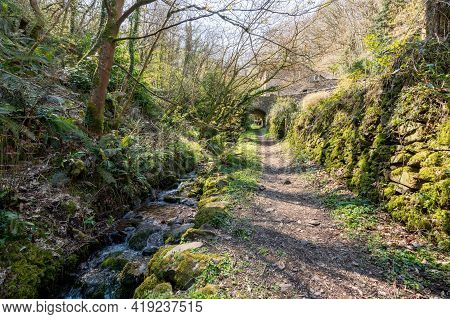 View Of The Footpath Just Outside Culbone Church And Heading To Lynmouth Via The South West Coastpat
