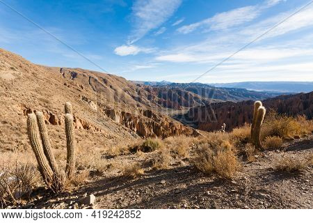Bolivian Canyon Near Tupiza,bolivia