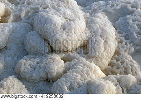 Salt Crystals On The Shore Of The Dead Sea
