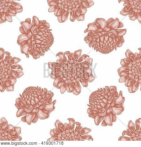 Seamless Pattern With Hand Drawn Pastel Etlingera Stock Illustration