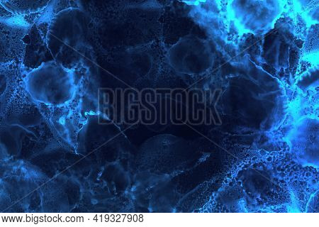 Abstract Fluid Art Painting Black Background Alcohol Ink Technique