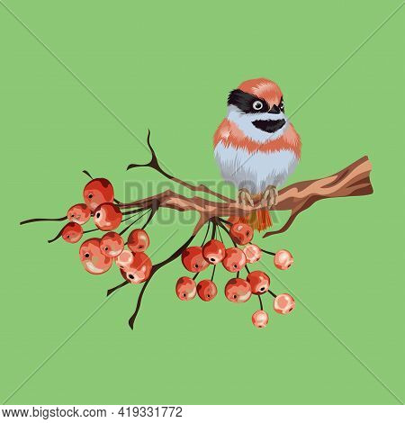 Vintage Floral Greeting Card, Spring Or Summer Decoration With Dry Branch, Red Berries, Mountain Ash