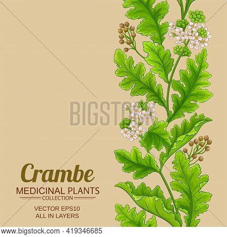 Crambe Plant Vector Pattern On Color Background