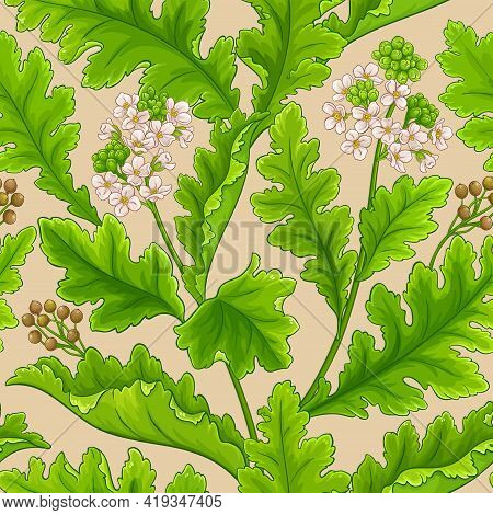 Crambe Plant Vector Pattern On White Background