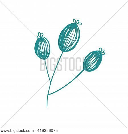 Graceful Green Twig. Contour Leaves. Vector Isolated Element. Garden Plant.