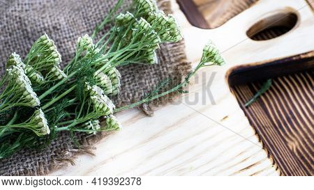 Achillea Millefolium, Yarrow Or Common Yarrow White Fresh Flowers On A Wooden Cutting Board Ready Fo