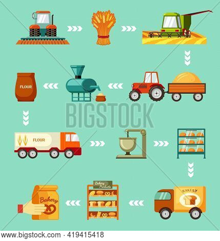 Grain Harvesting And Baking Steps Set. Sowing Wheat And Green Harvester Mowing And Tractor Trailer C