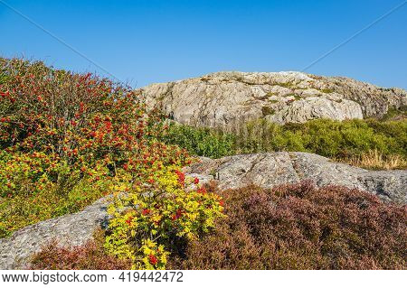 Landscape On The Weather Islands Near Fjaellbacka In Sweden.