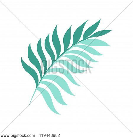 Graceful Green Twig. Contour Leaves. Vector Isolated Element. Garden Plant.
