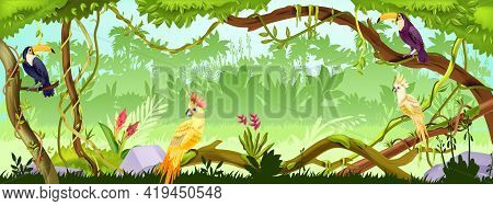 Jungle Forest Vector Nature Background, Wood Exotic Landscape, Green Liana, Parrot, Toucan, Trees, T