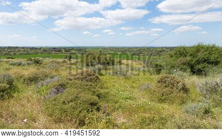 Nature Near The Excavations Of The Ancient Maresha City In Beit Guvrin, Near Kiryat Gat, In Israel