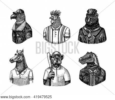 Eagle Aviator Pilot. Rooster Tennis Player Bear In Russian Fur Coat And Hat. Dog Bulldog Baseball Pl