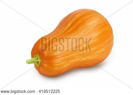 Butternut Squash Isolated On White Background With Clipping Path And Full Depth Of Field