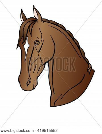 Graceful Head Of A Bay Horse. Akhal-teke Horse - Vector Full Color Illustration. Stallion Of The Eas