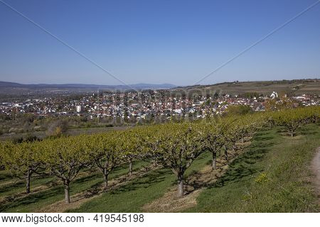 Skyline Of Ingelheim With Famous Church And Castle In Germany